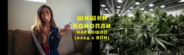 ГАЛЛЮЦИНОГЕННЫЕ ГРИБЫ Балабаново